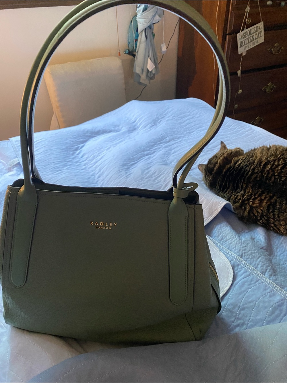 Radley London Sage Green Tote Bag New no tags - Picture 15 of 16